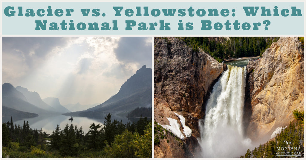Glacier vs Yellowstone: Which National Park is Better?