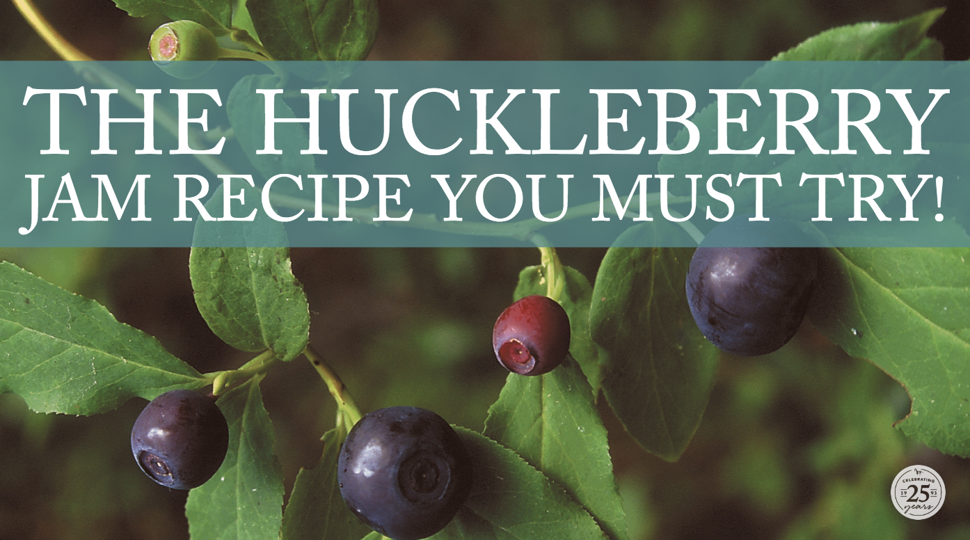 Wild Huckleberry Jam Recipe