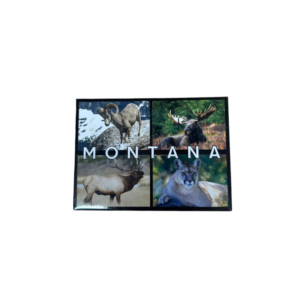 Stamped Metal Magnet by The Hamilton Group (14 Styles)