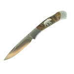 Bear Browning Lock Back Folding Knife