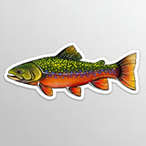 Colorful fish illustration with 'River Collective Co' branding on a white background