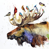 Moose and Birds Watercolor Greeting Cards by Dean Crouser