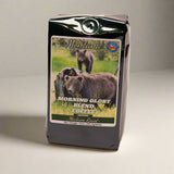 Morning Glory Blend Coffee