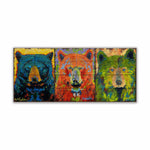 Shelle Lindholm Three Bear Line Up - Bright Colors