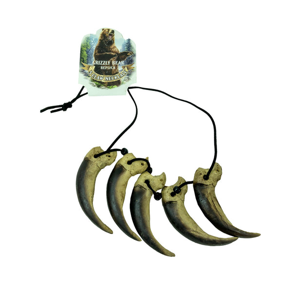 Grizzly bear sales tooth necklace