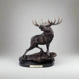 Marc Pierce Wild and Noble Moose Sculpture by Big Sky Carvers