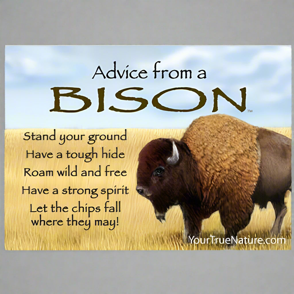 Advice From a Bison Magnet by Your True Nature