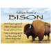 Advice From a Bison Magnet by Your True Nature
