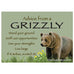 Advice From a Grizzly Magnet by Your True Nature