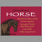 Advice From a Horse Magnet by Your True Nature
