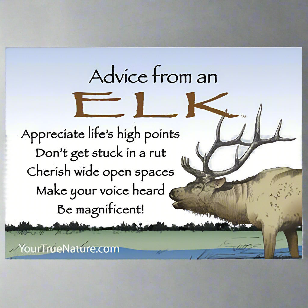 Advice From an Elk Magnet by Your True Nature