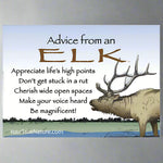 Advice From an Elk Magnet by Your True Nature