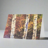 Autumn Trees Scenic Watercolor Greeting Cards by Dean Crouser