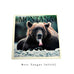 Bear Tongue Montana Coaster by Lantern Press