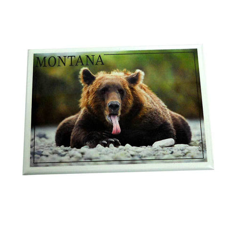 Bear and Tongue Montana Magnet