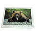 Bear and Tongue Greeting Card by Lantern Press