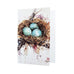 Dean Crouser Bird Nest Watercolor Greeting Card