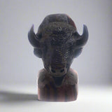 Buffalo Bust by EarthView, Inc.