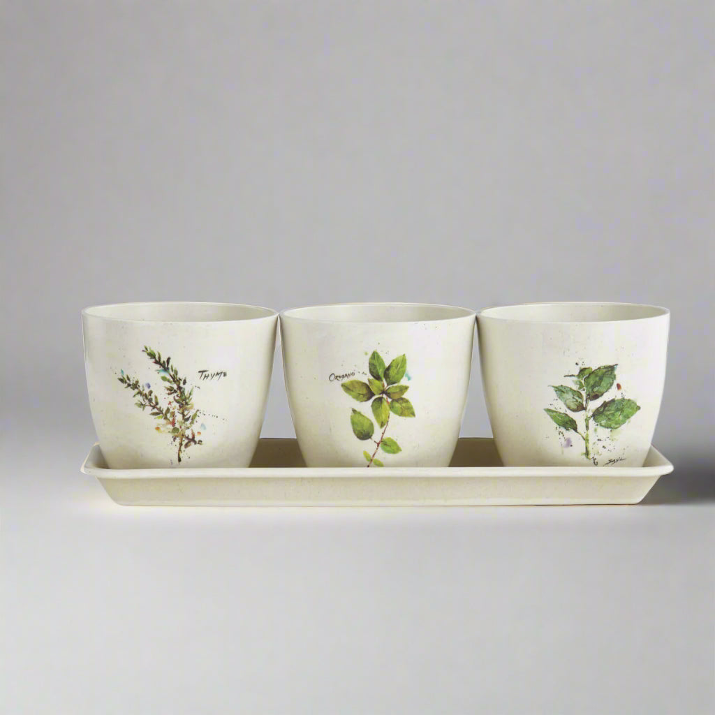 Dean Crousre Herb Planter Set