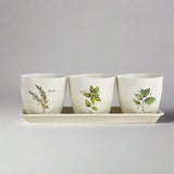 Dean Crousre Herb Planter Set