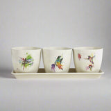 Dean Crouser Nature Planter Set