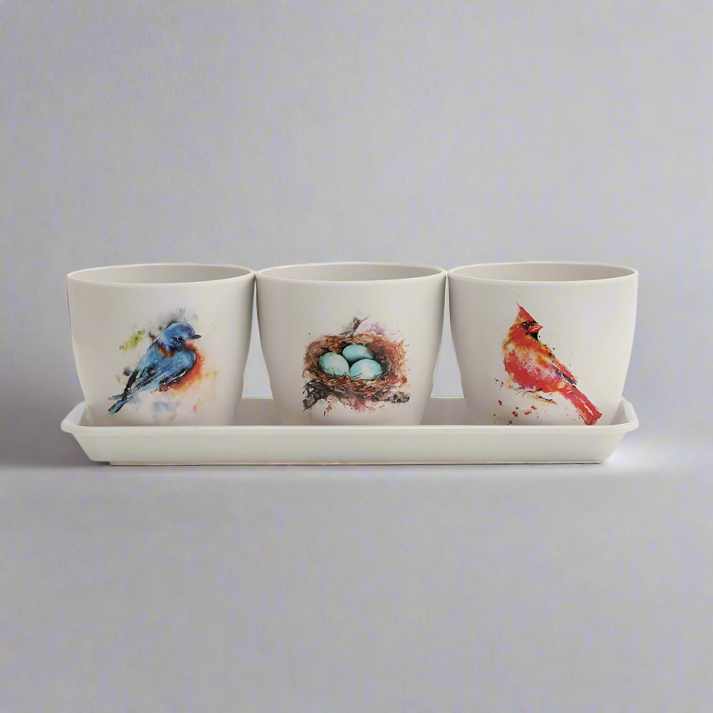 Dean Crouser Pretty Birds Planter Set