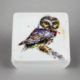 Saw Whet Owl Dean Crouser Vanity Box by Demdaco