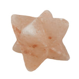 Salt Star Paper Weight by Western Woods Distributing