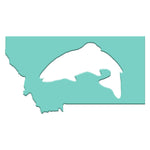 Montana Fish Magnet - robin's egg blue