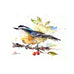 Dean Crouser Nuthatch and Berries Greeting Card