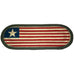 Original Flag Oval Runner Rug by Capitol Earth Rugs