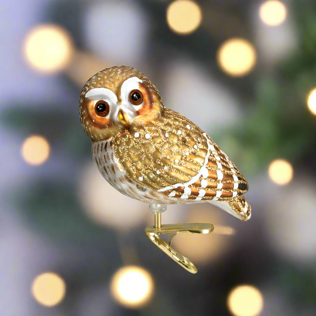 Pygmy Owl Glass Christmas Ornament