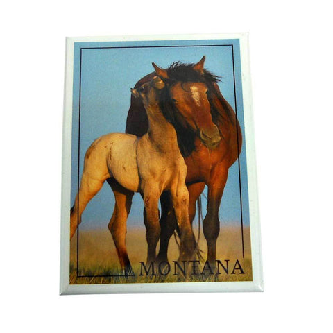 Wild Horse and Young Montana Magnet 