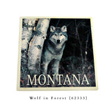 Wolf in Forest Coaster by Lantern Press
