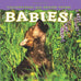 Babies! by Farcountry Press (11 Titles)