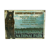 Yellowstone National Park Black Bear Wall Art by Meissenburg Designs
