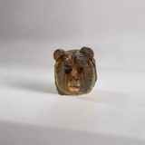 Bear Head 3D Magnet by EarthView, Inc.