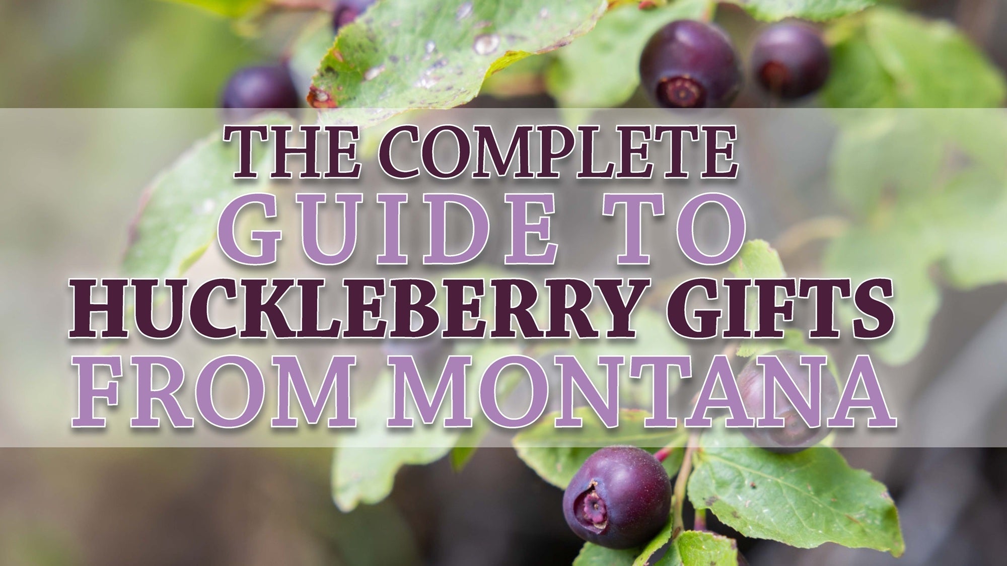 The Complete Guide to Huckleberry Gifts from Montana