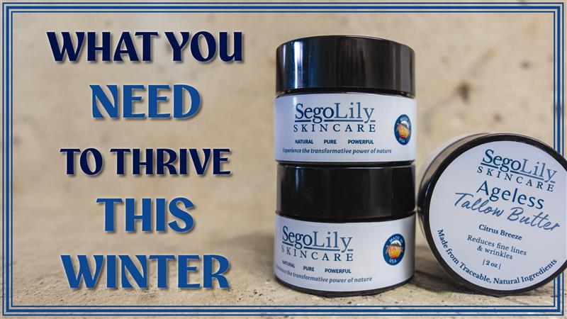 What You Need to Thrive this Winter
