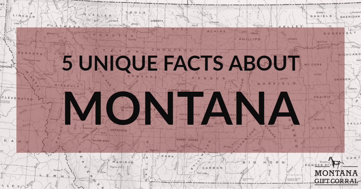 5 Unique Facts About Montana