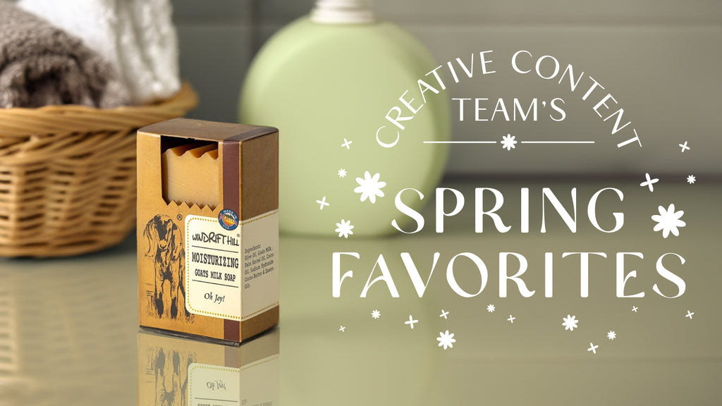 The Creative Content Team's Spring Favorites