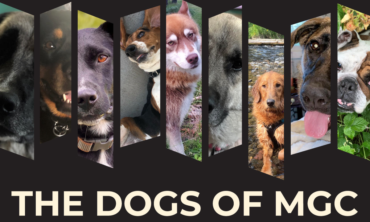 The Dogs of Montana Gift Corral