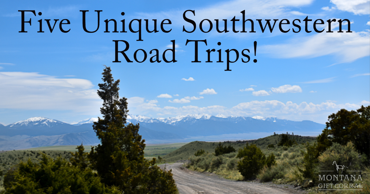 Five Unique Southwestern Road Trips! Cover Photo Courtesy of Issa Rabideaux