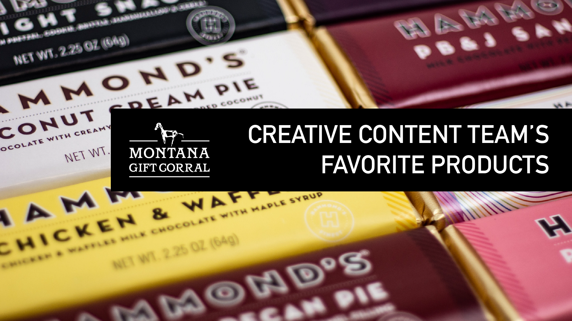 Creative Content Team's Favorite Things