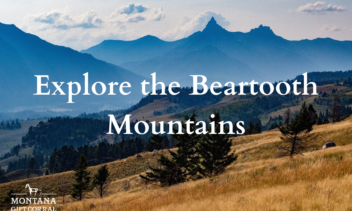 Explore the Beartooth Mountains