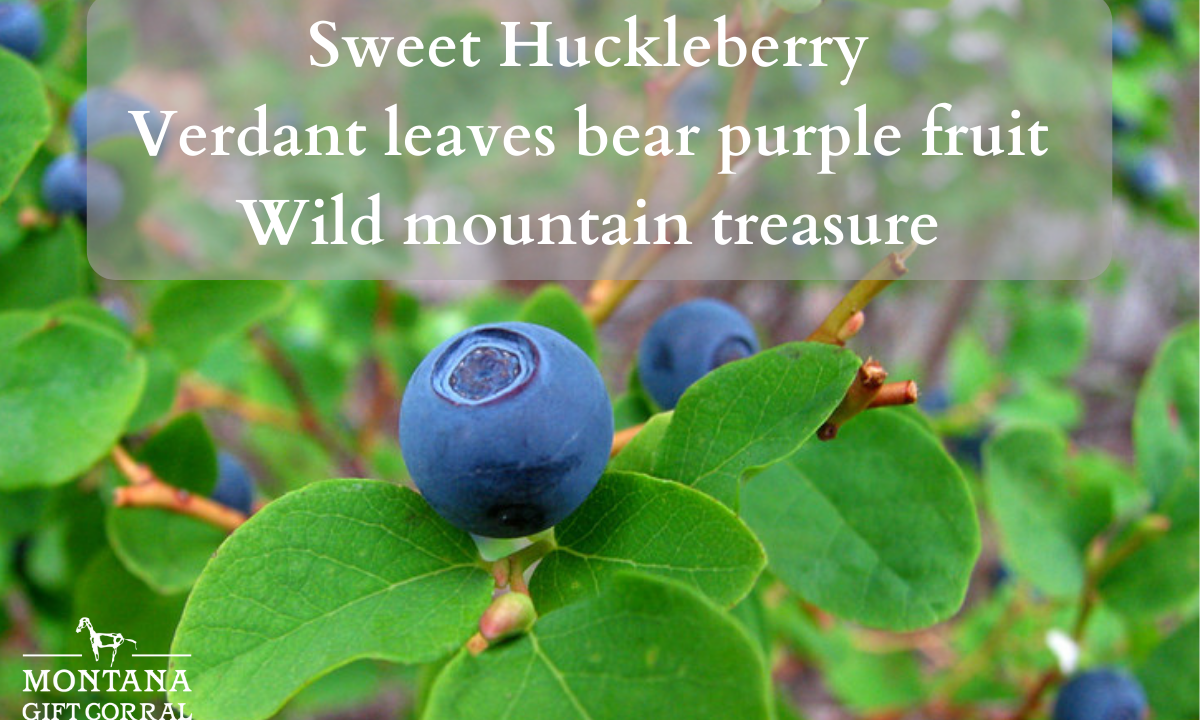 Sweet Huckleberry