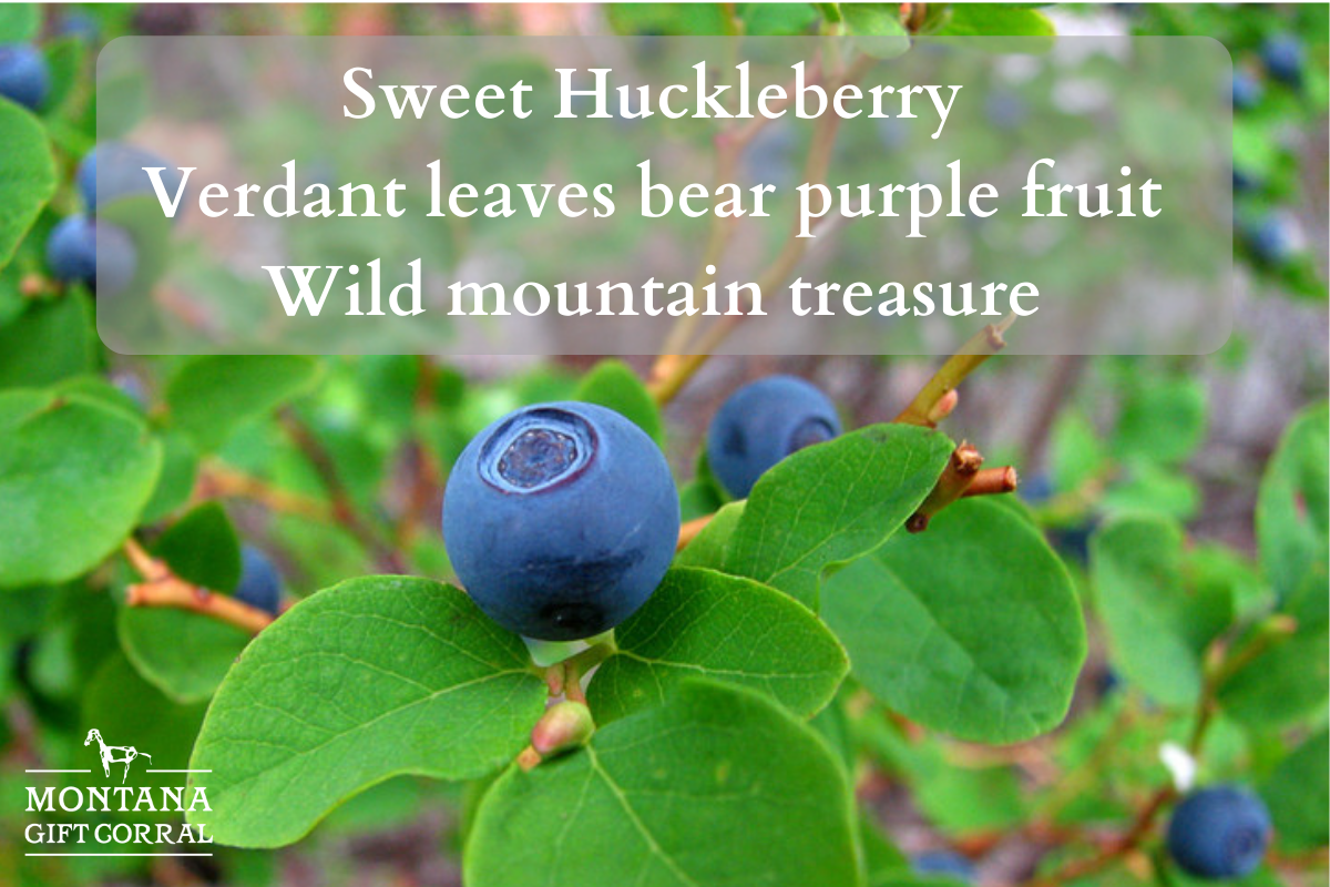 Sweet Huckleberry