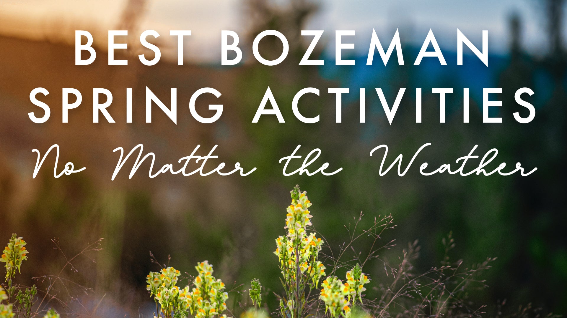 Best Bozeman Spring Activities No Matter the Weather!