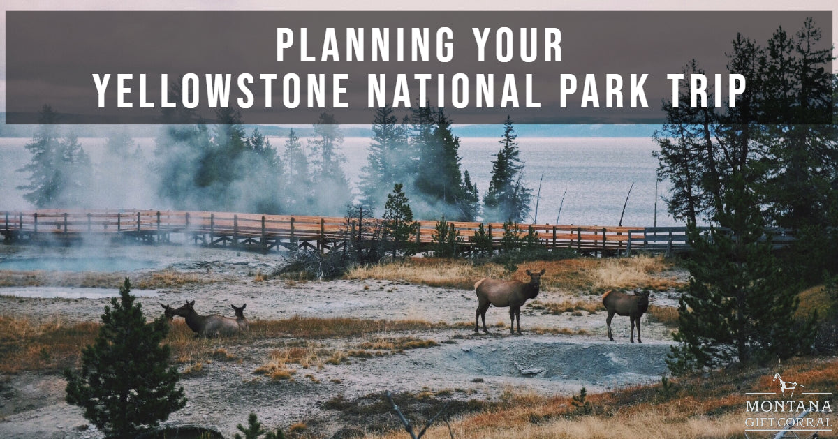 Montana Vacation Planning: Planning Your Yellowstone National Park Trip