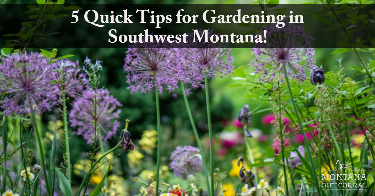 5 Quick Tips for Gardening in Southwest Montana!